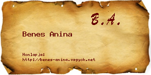 Benes Anina névjegykártya